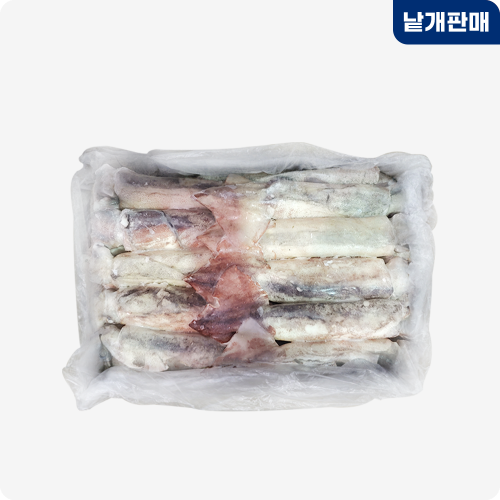 [2605-0전국가](박스)육동오징어 10미  3kg(중국)